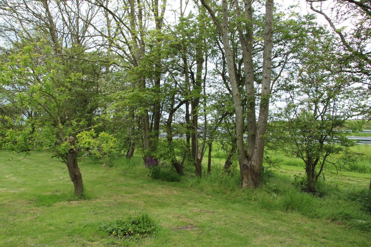 Hof Suzanna Villa Arnemuiden Exteriör bild
